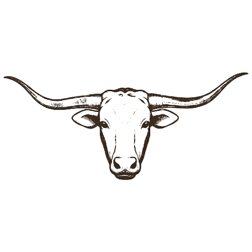Longhorn Minerals