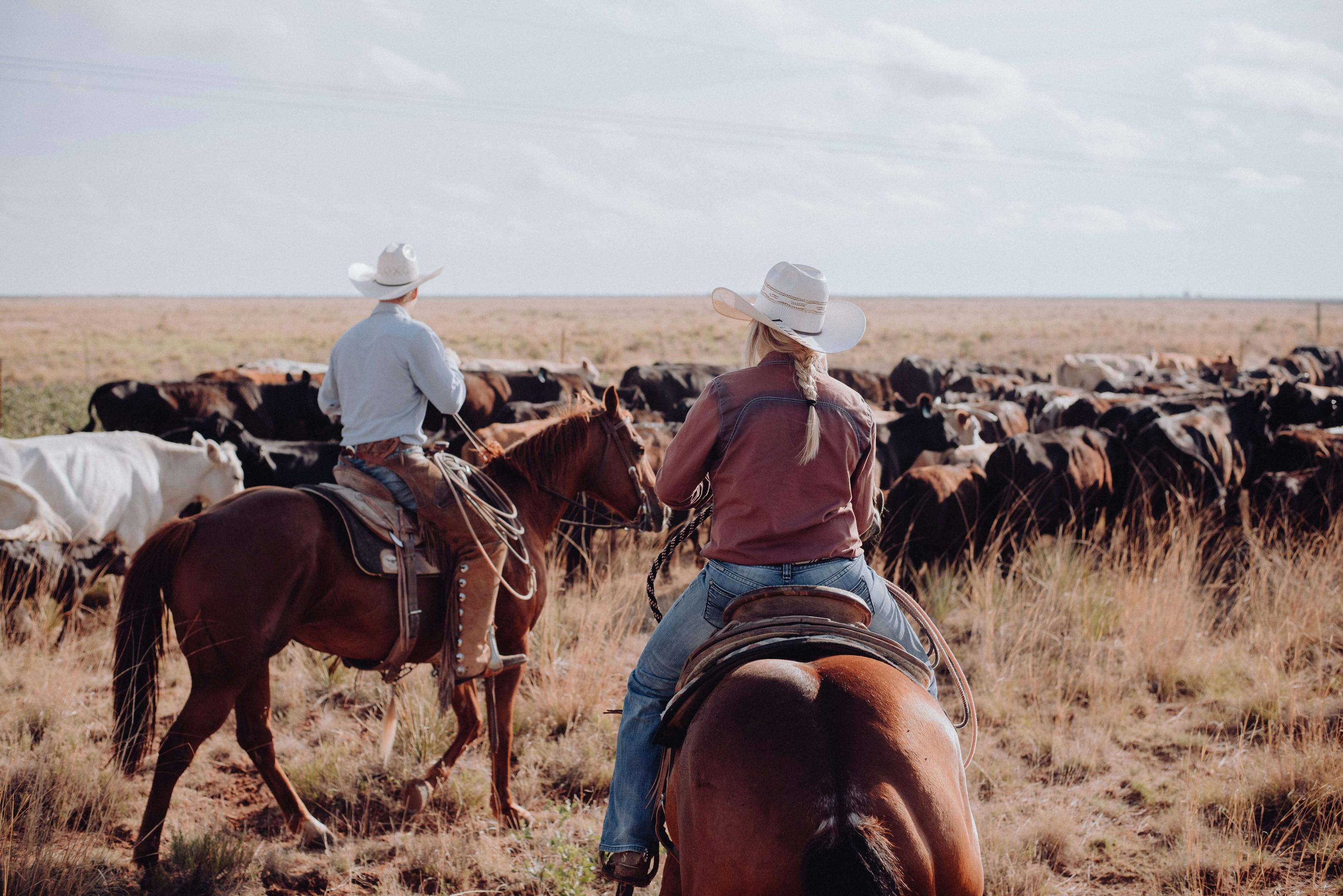 A wide landscape over non producing mineral rights.